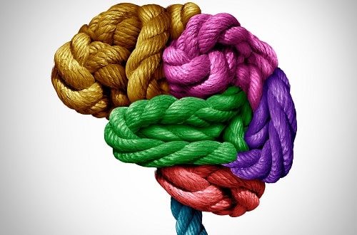 Neurodiversity brain knot iStock wildpixel